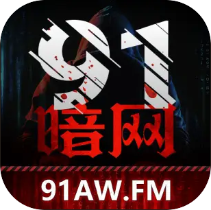 91暗网